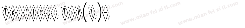 Terylene Top(1)字体转换